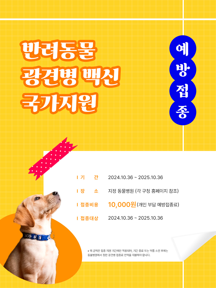 반려동물 예방접종 포스터